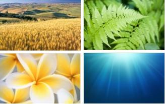 Wallpapers Windows 7