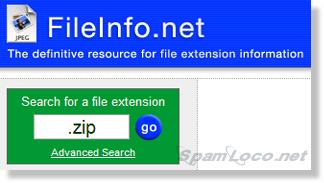 FileInfo