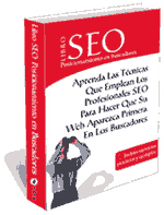 Libro seo pdf